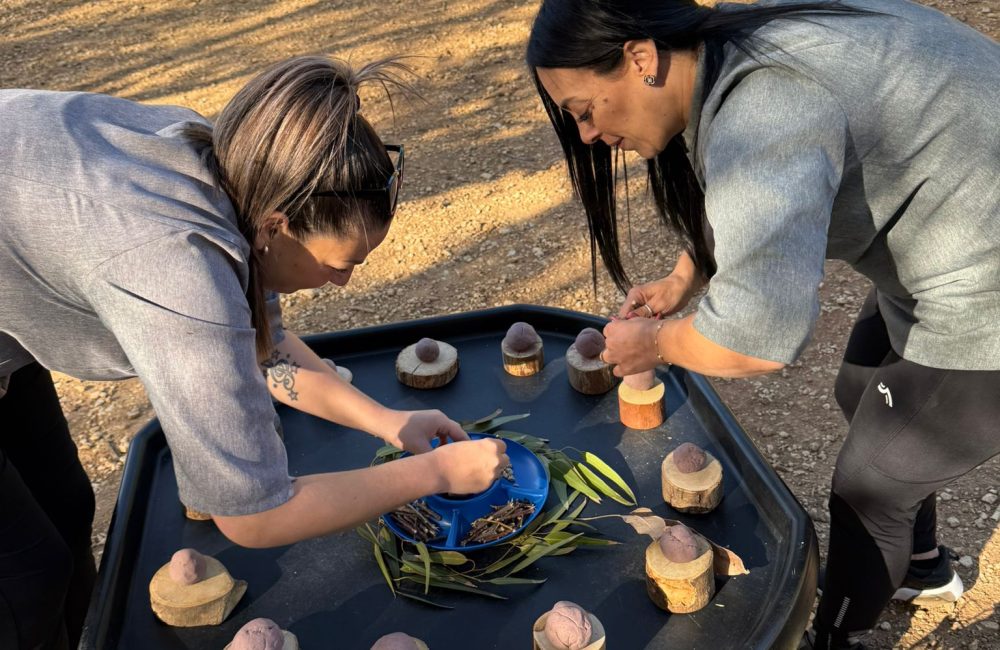 WhatsApp Image 2026-03-02 at 11.14.26 (2)