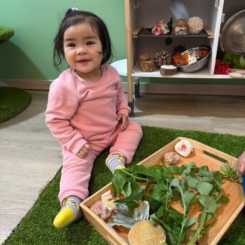 WhatsApp Image 2026-03-11 at 11.19.40